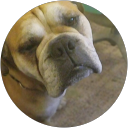 Timothy Eves profile picture