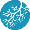 vein-disease vein-disease