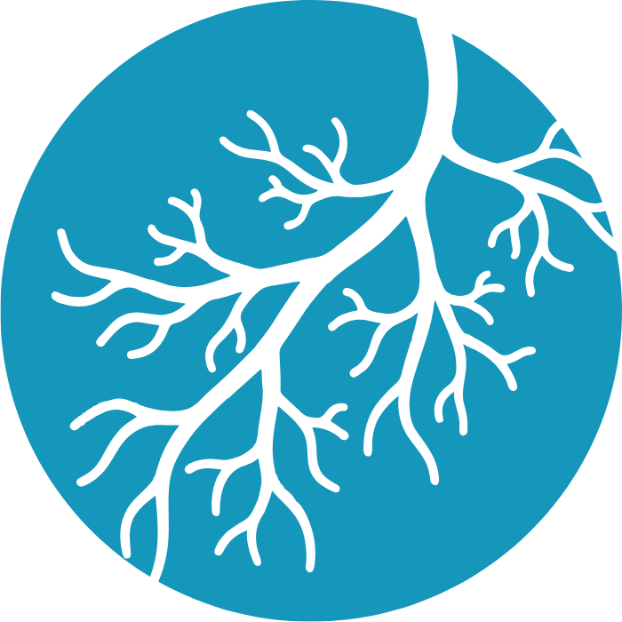 vein-disease vein-disease