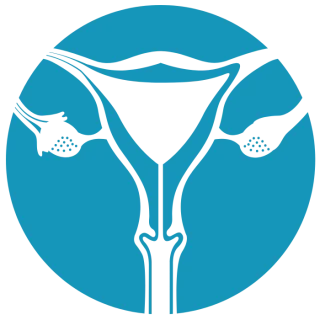 uterine fibroid treatment uterine fibroid treatment