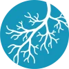 vein-disease vein-disease