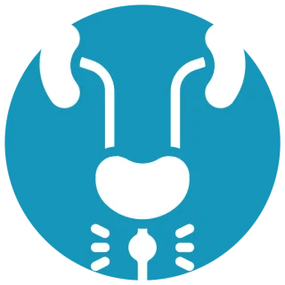 prostate artery embolization prostate artery embolization